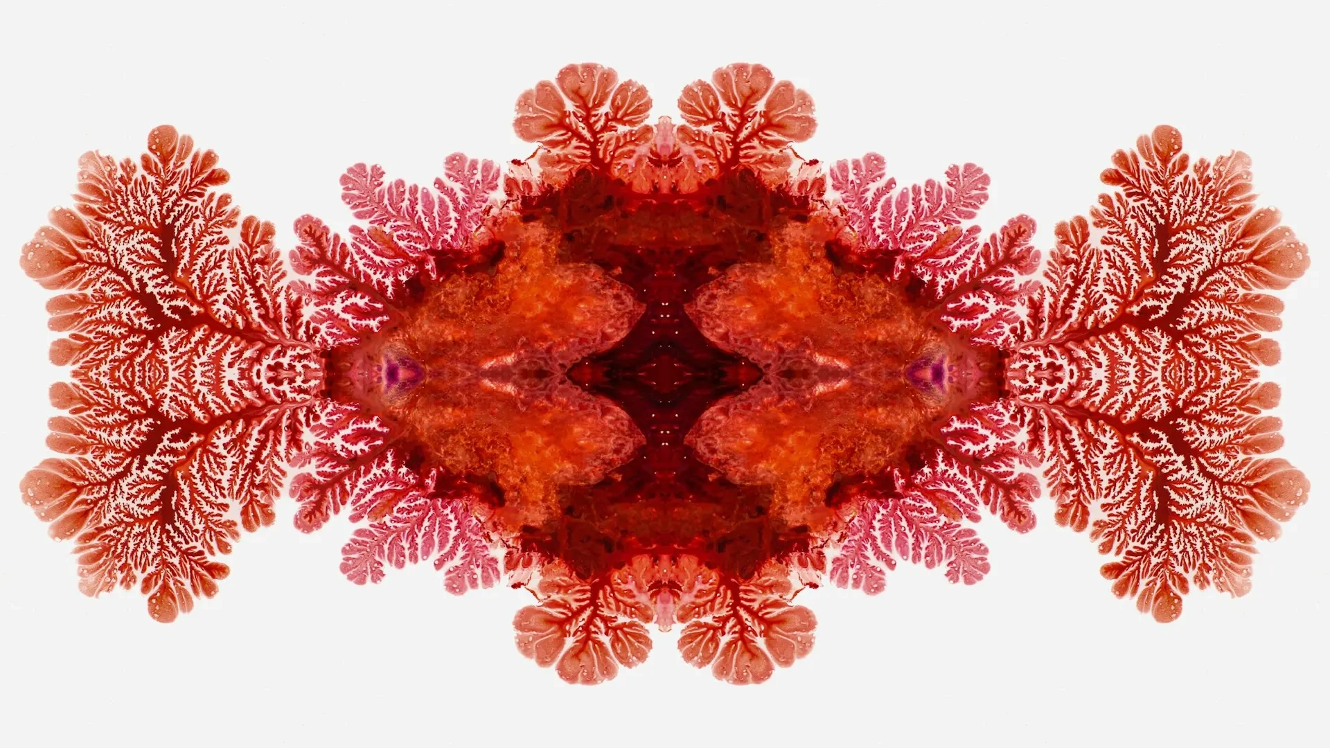 red.webp