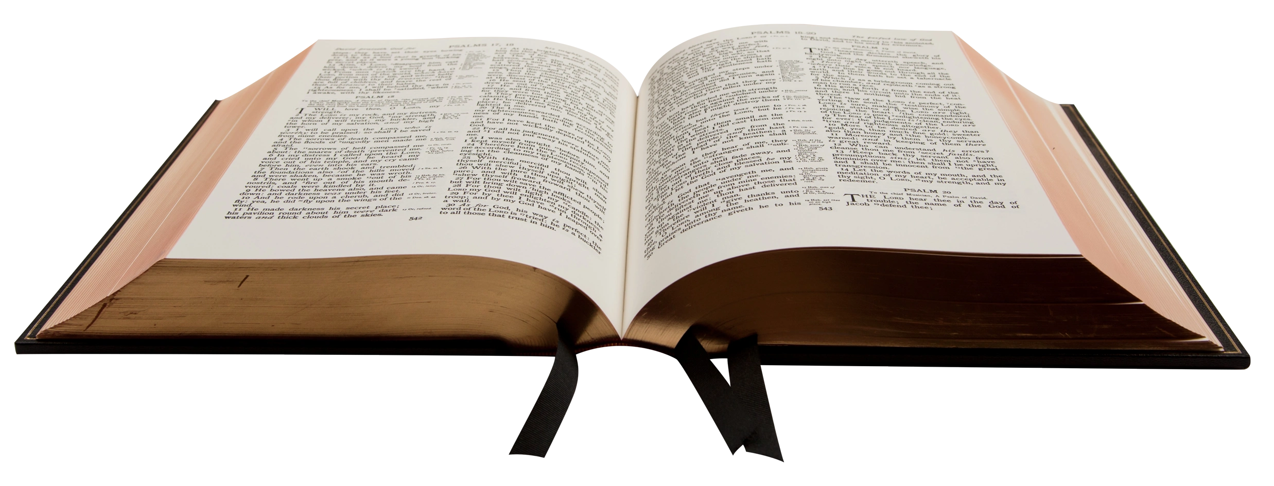 Meet the owner, Andrew