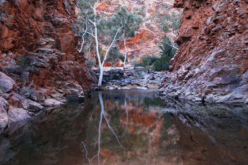 West MacDonnell National Park Australia Serpentine Gorge.jpg