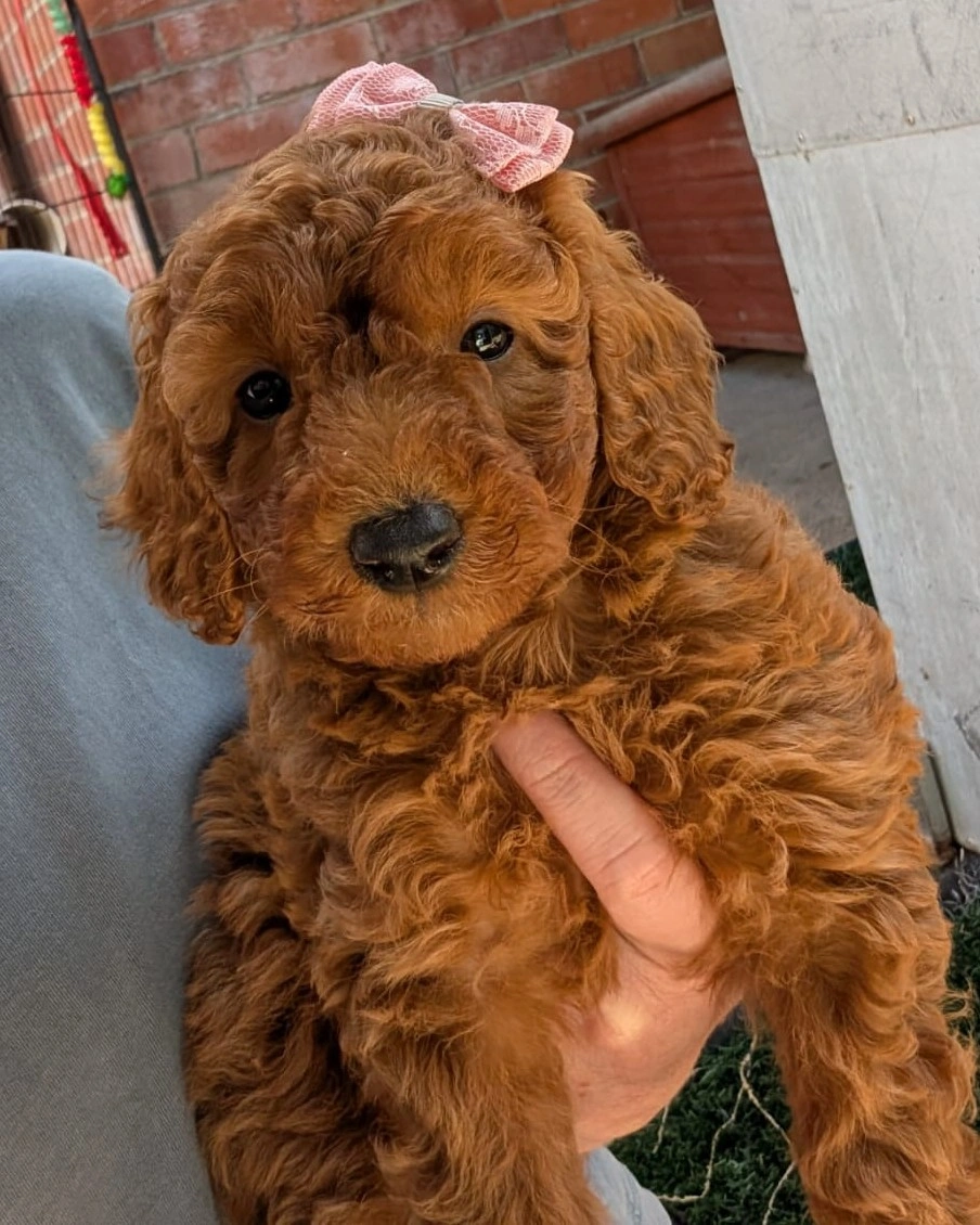 Female 2026-04-07 at 4.03.39 PM4.jpeg