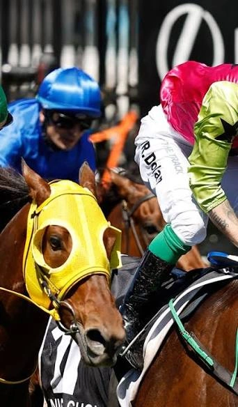 melbourne cup 5.jpg