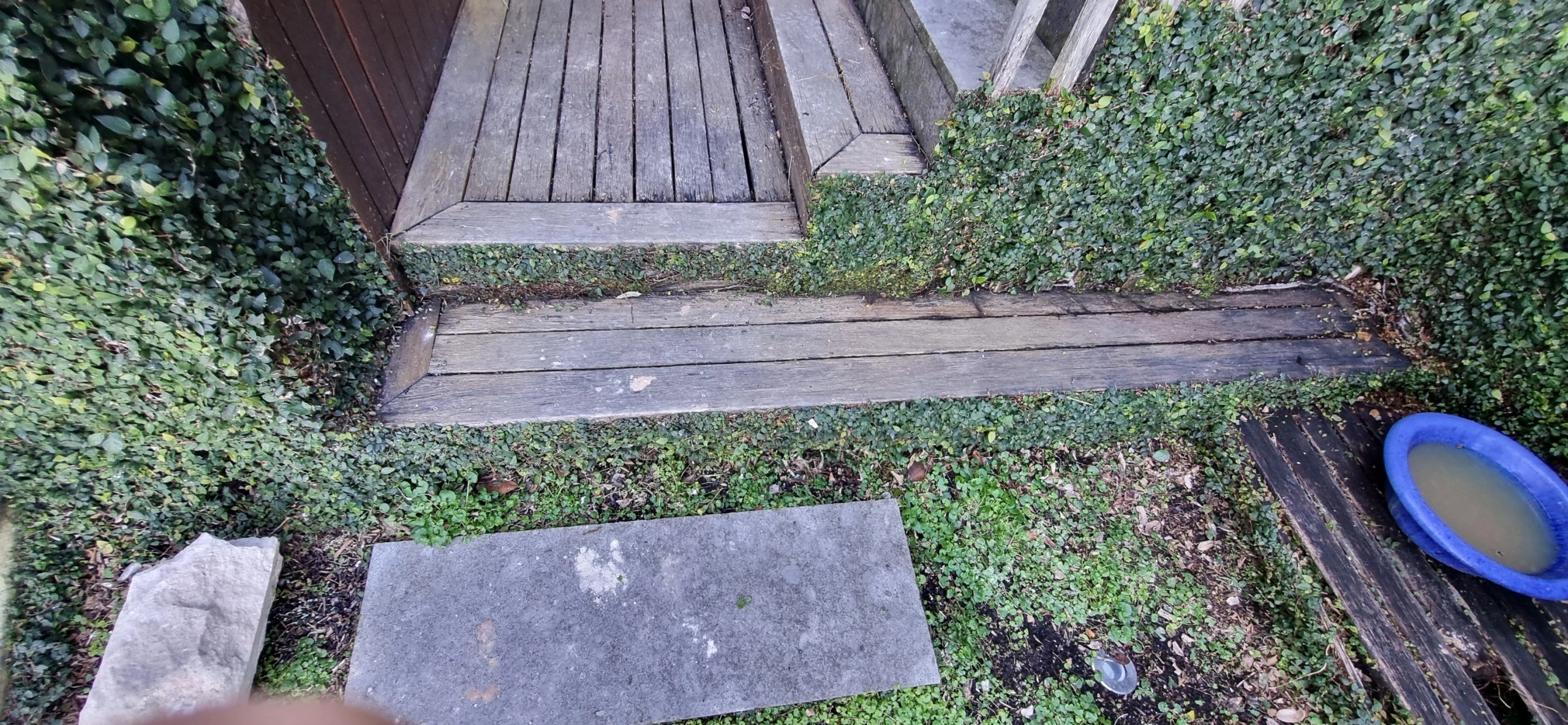 531001604_122094336716985110_8257358465165933155_n (1).jpg