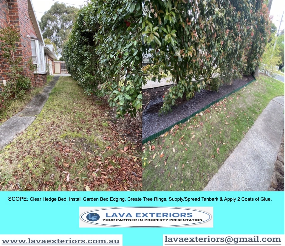 Box Hill South.2.jpg