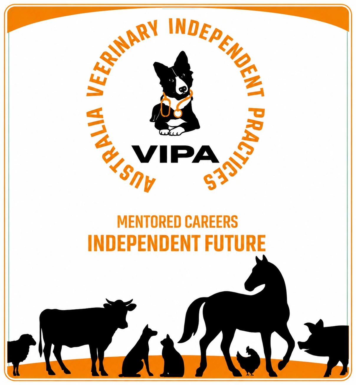 VIPA Banner.png
