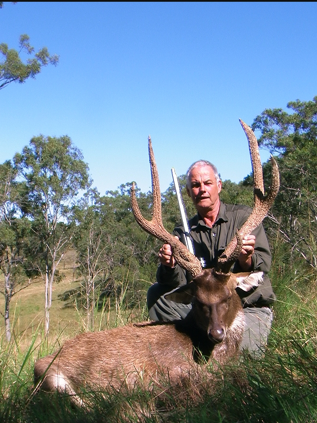 Rusa Hunt 2.jpeg
