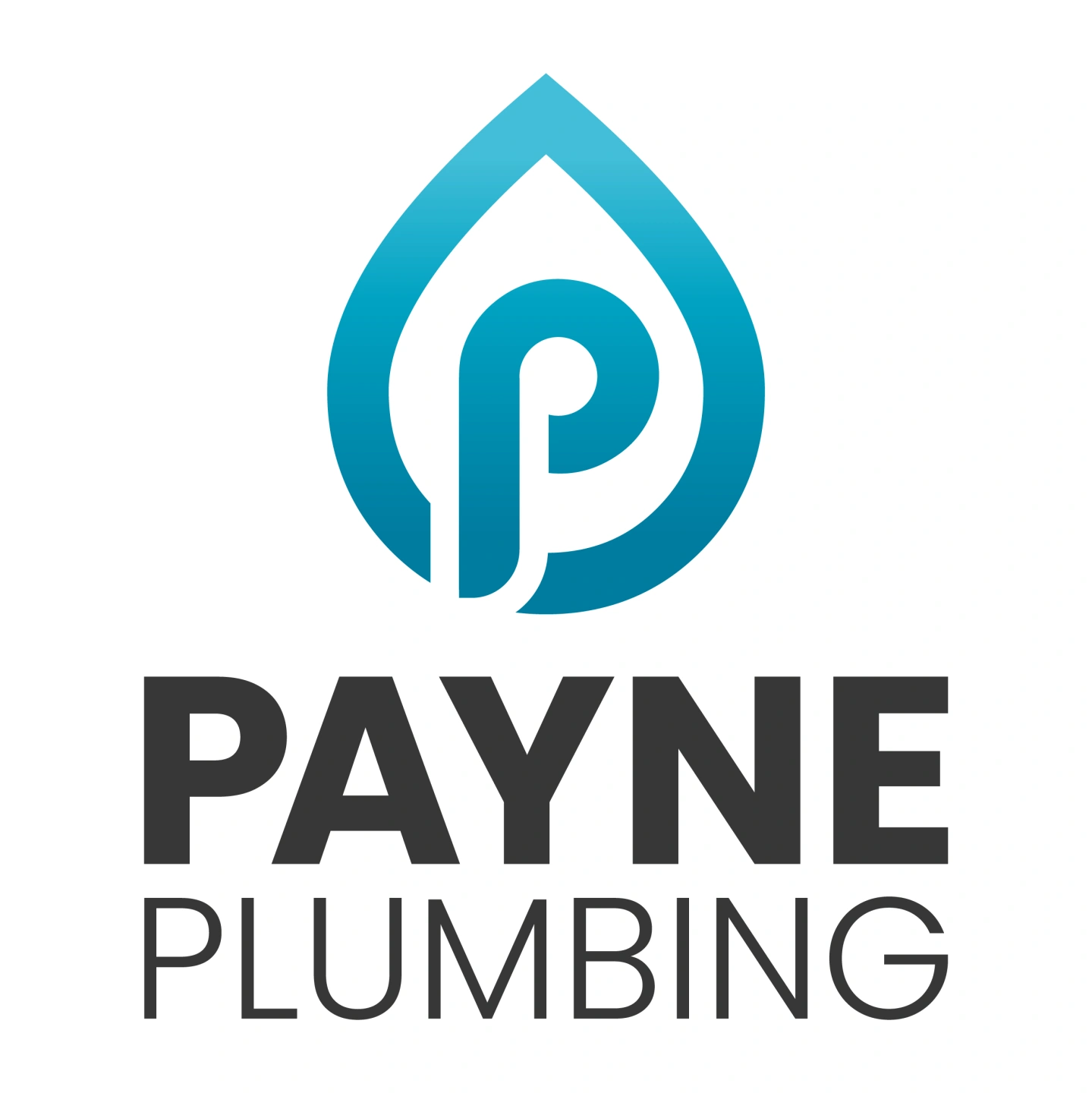 Payne Plumbing Logo1.png