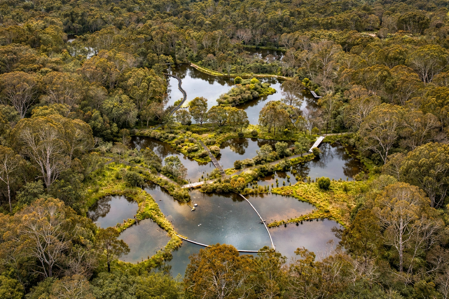 ChatGPT Image Feb 28, 2026, 09_07_41 AM.png