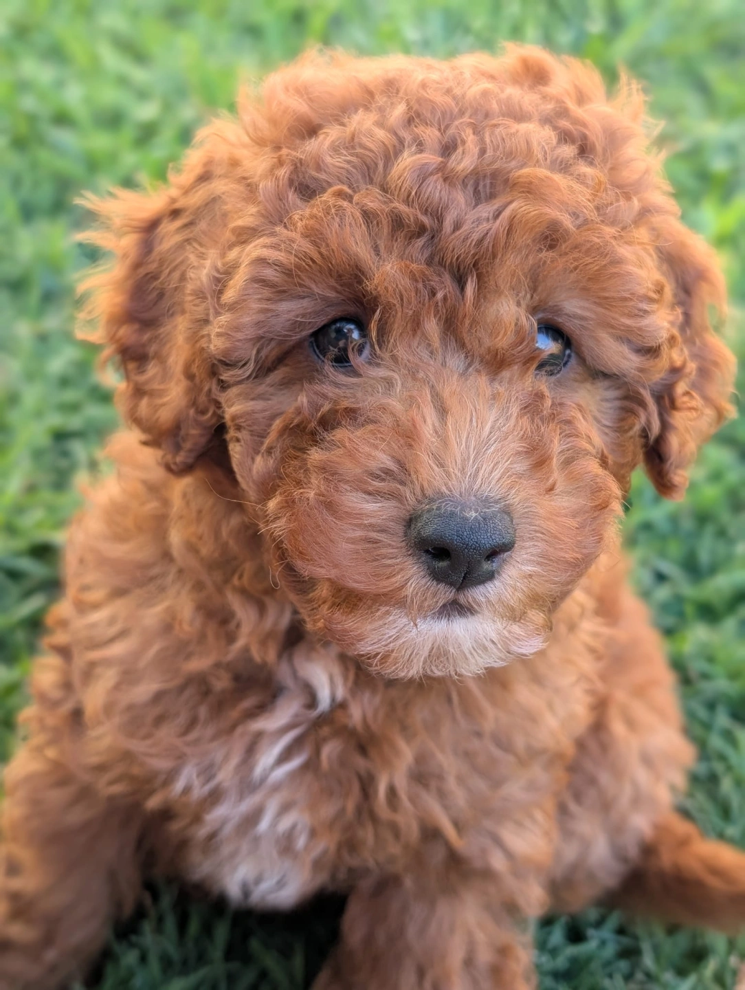 WhatsApp Image 2026-04-21 at 3.43.32 PM.jpeg