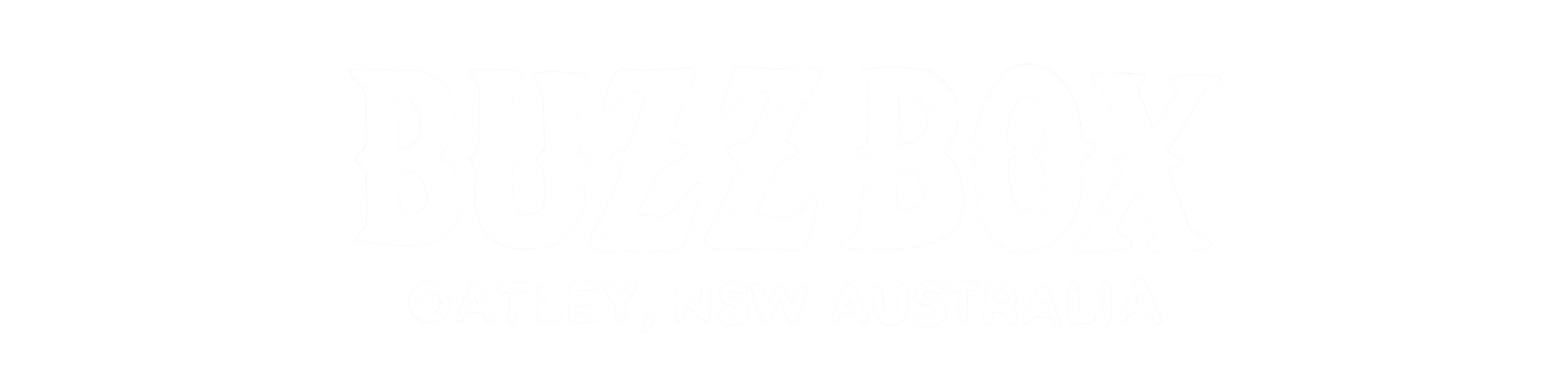 Buzz Box Guitars