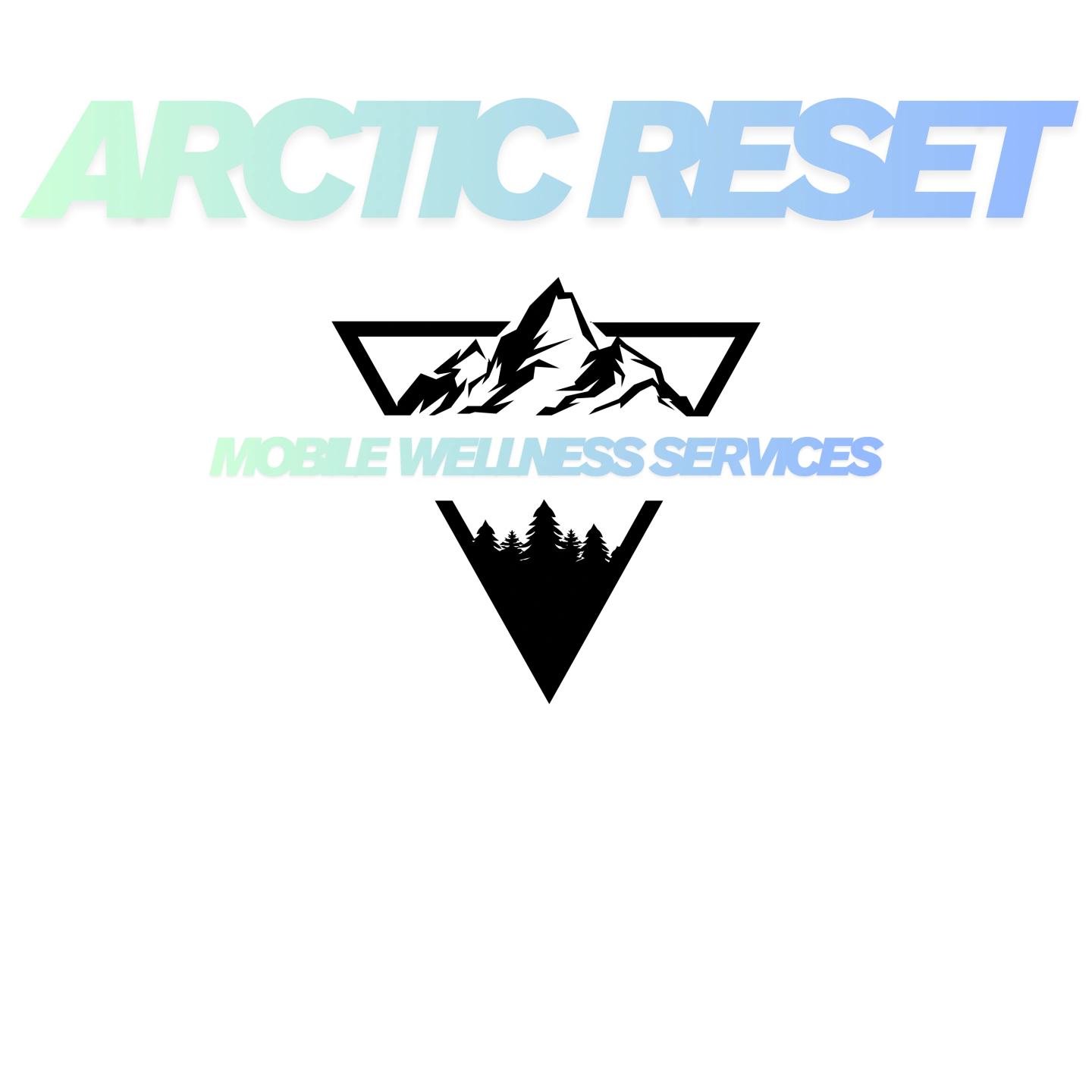Arctic Reset Pty Ltd