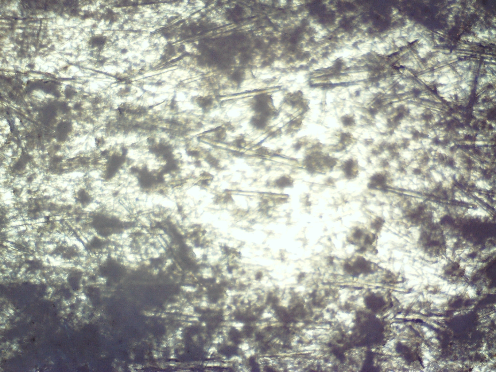 Image-2_2013-10-03.JPG