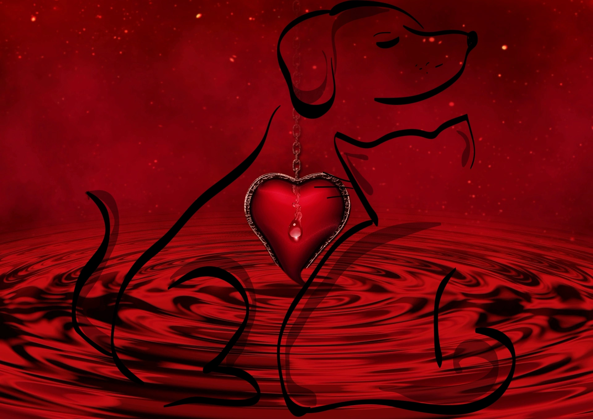 Dog Cat Red.jpg
