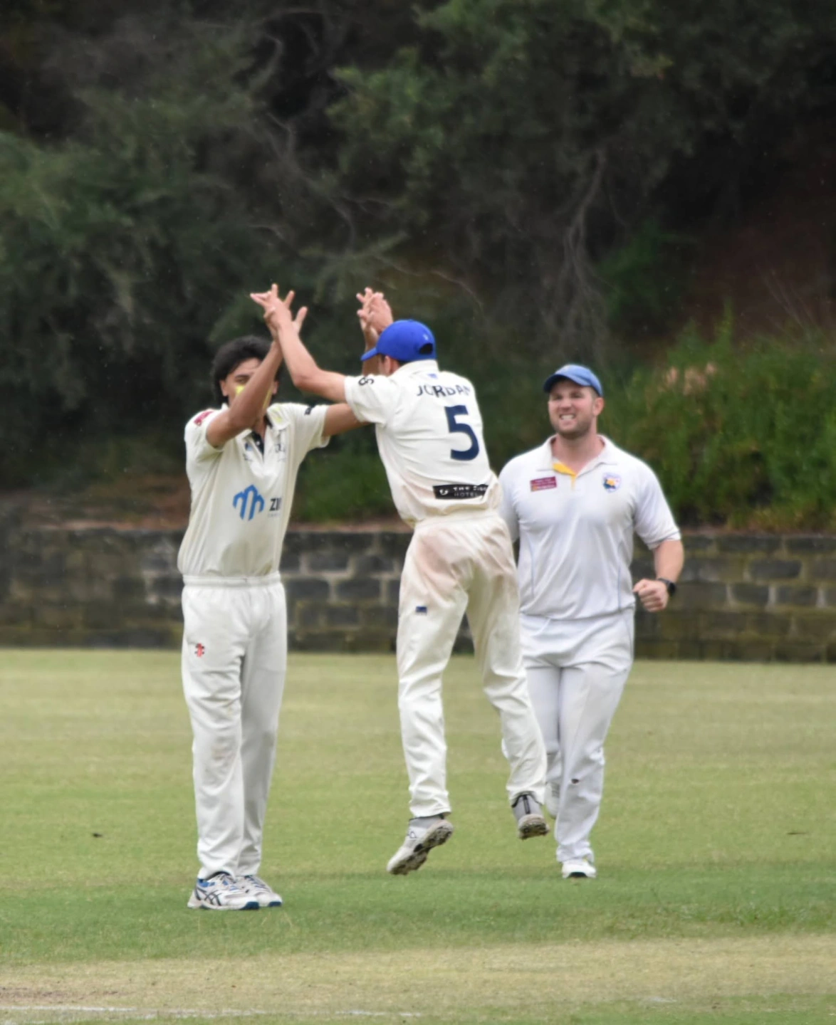 Wicket celebration.jpg