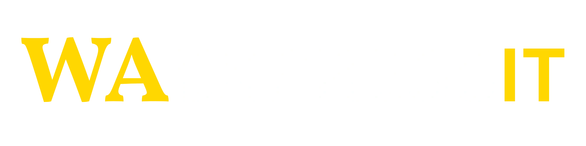 WA EXPRESS IT