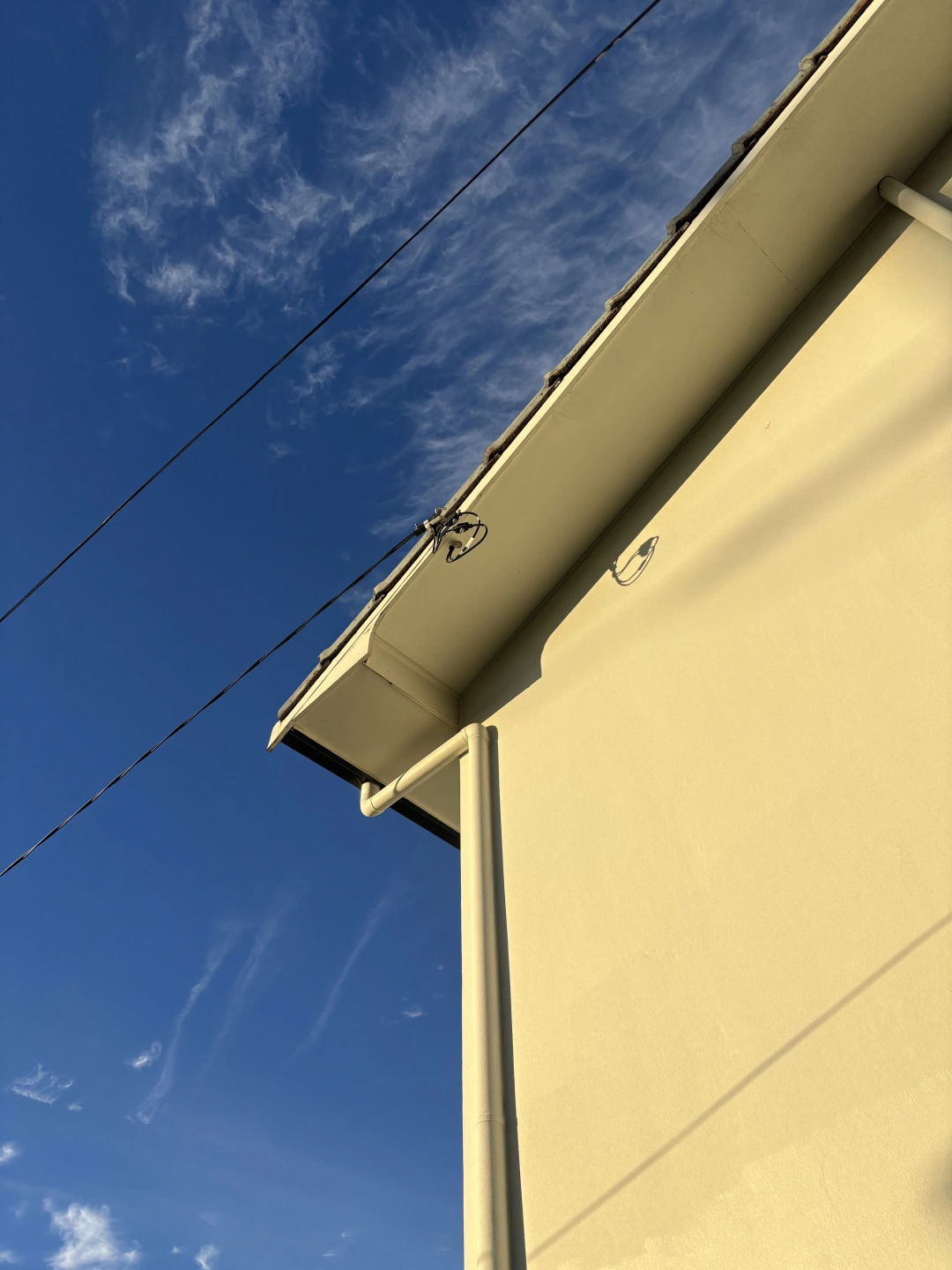 IMG_0506.jpeg