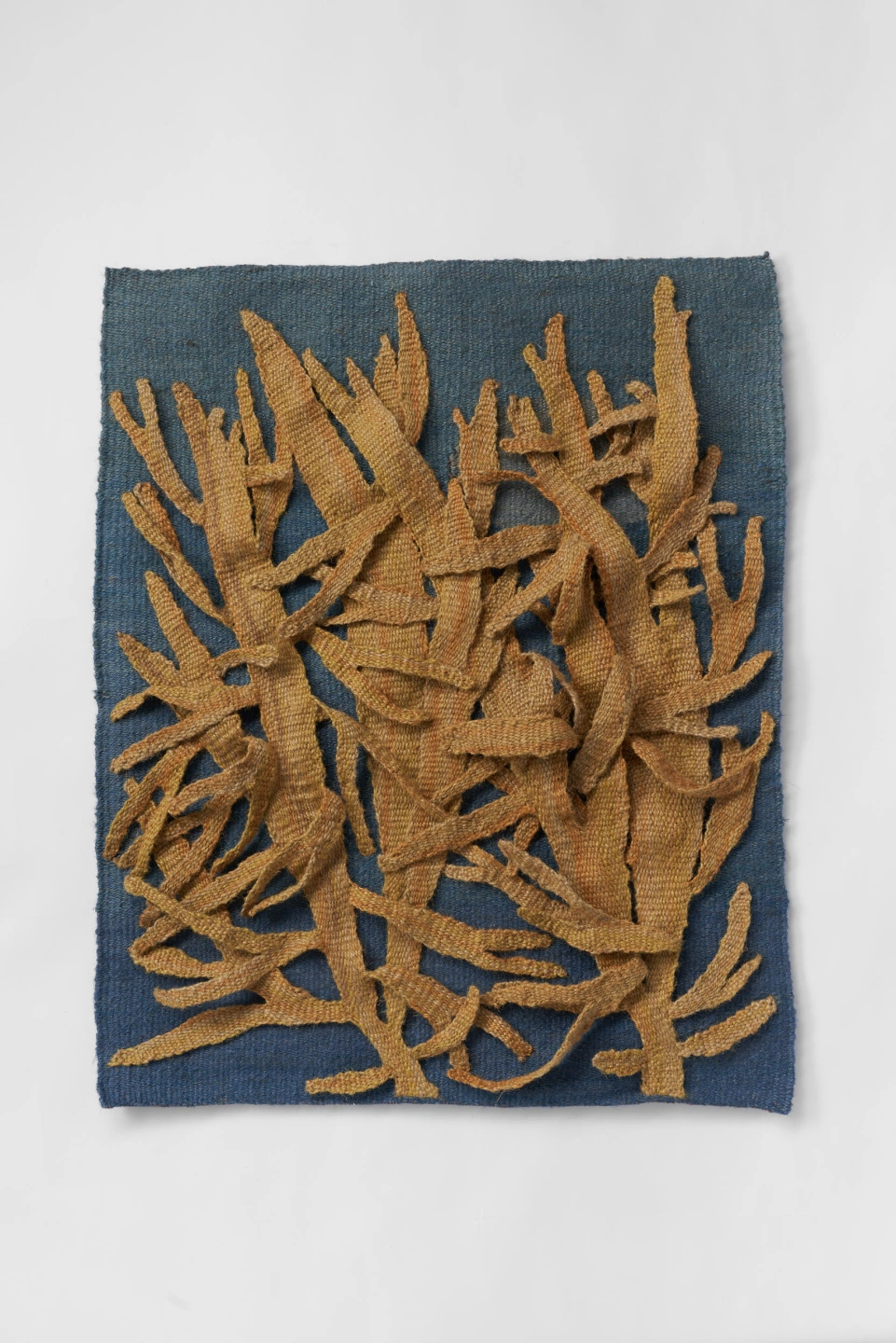 Tony Busch_Golden Kelp_2026_LoRes.jpg