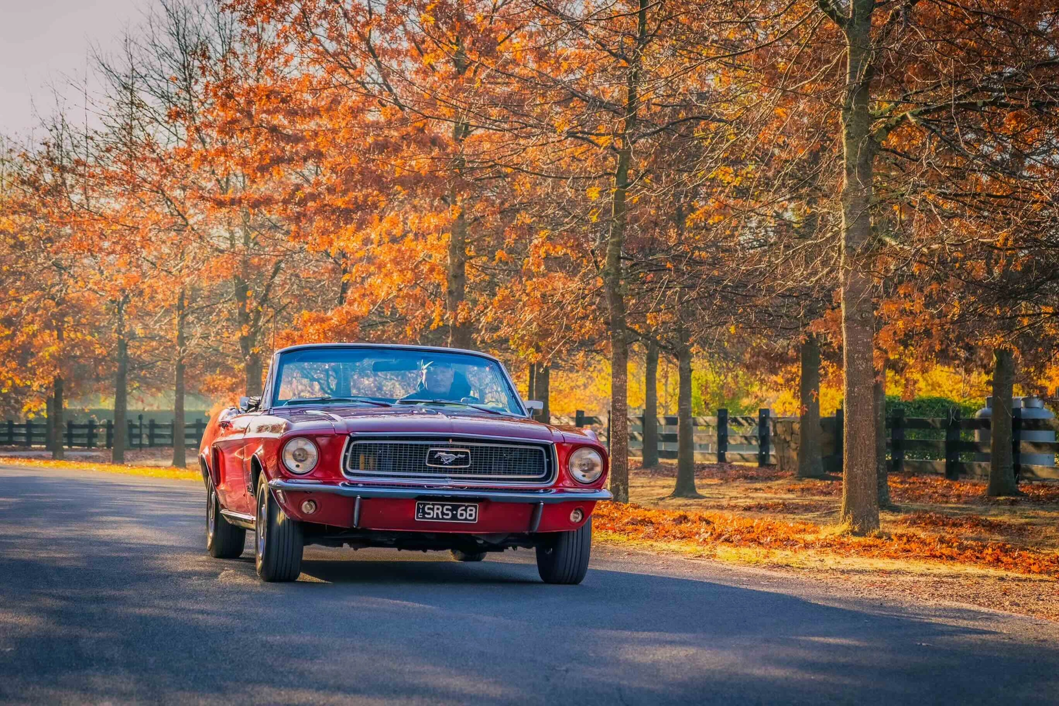 20250501-M27A7483-Edit.jpg copy.jpeg