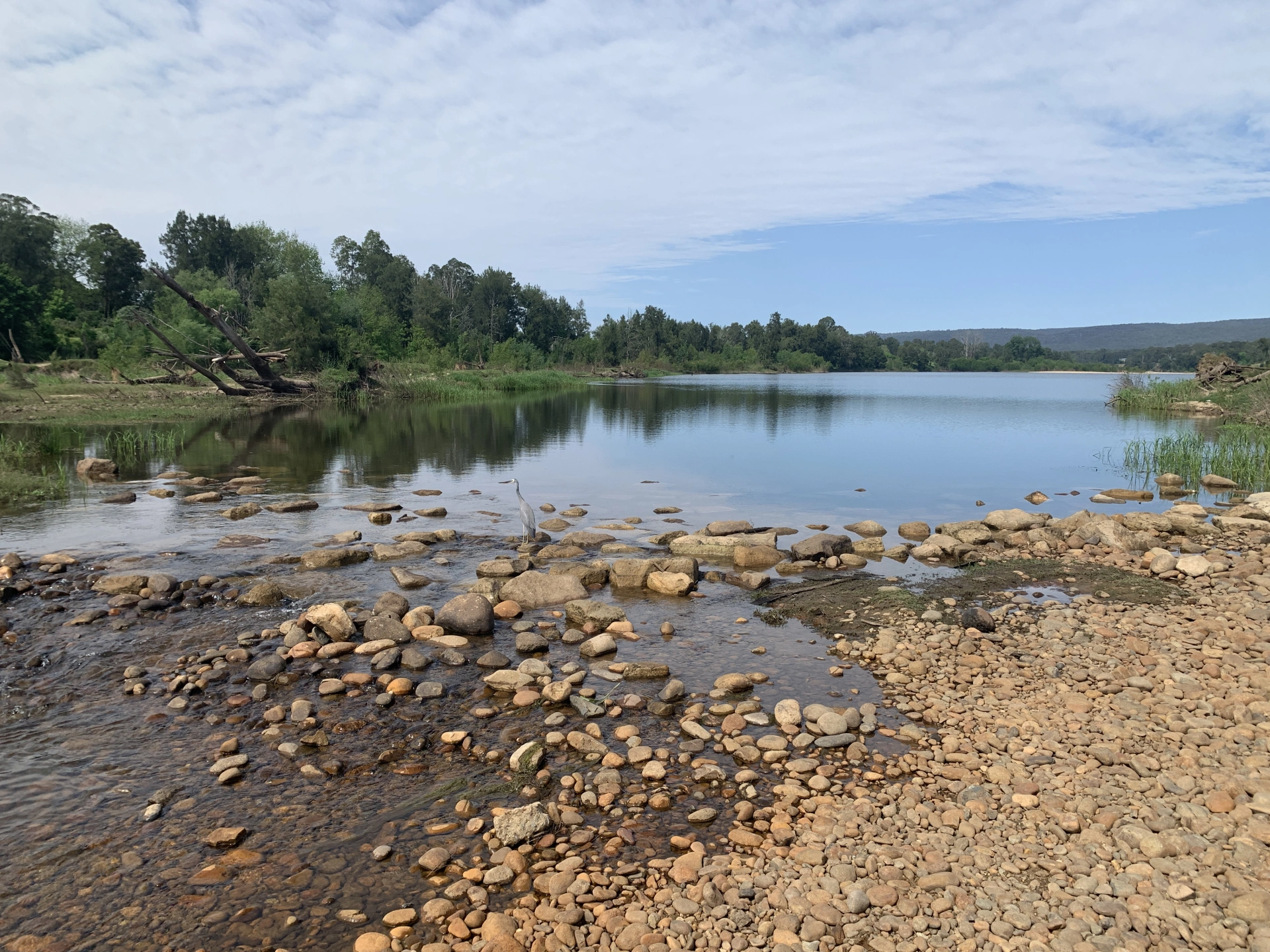 river 2.JPG