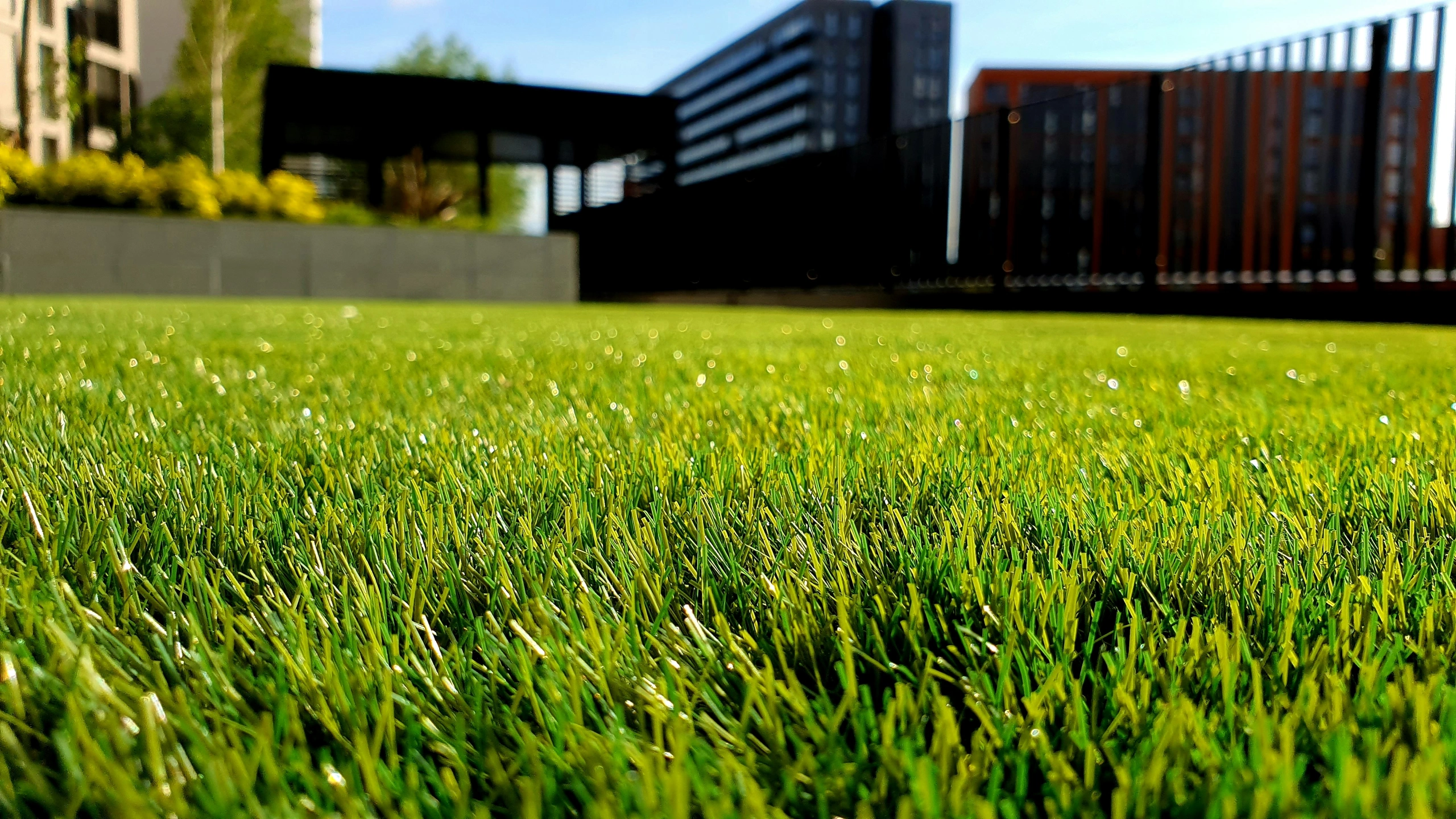 Basic Lawn Care.jpg