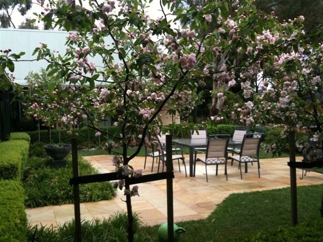 pictures from Farrugias.jpg