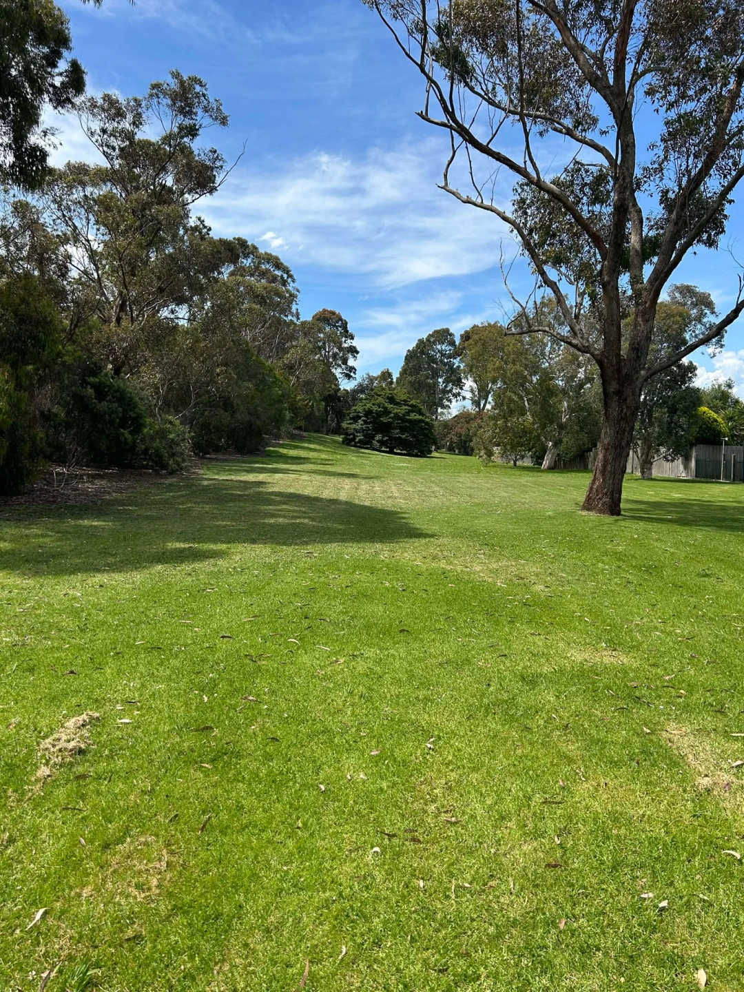 open green space.jpg