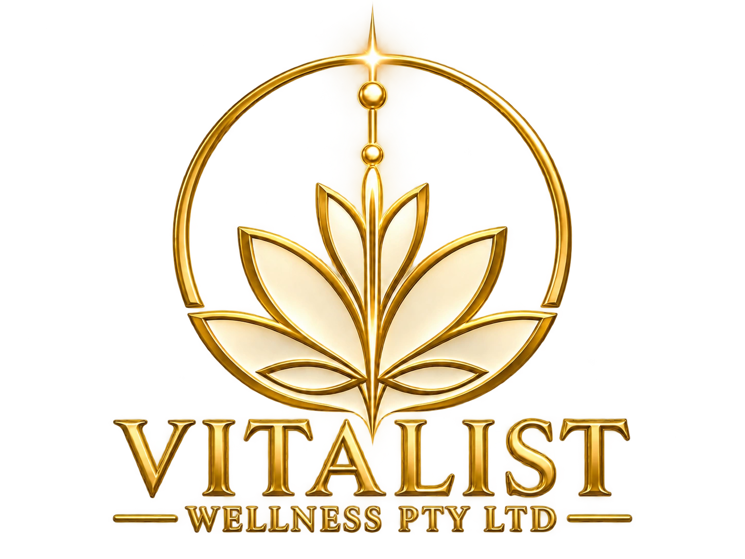 transparent logo.png