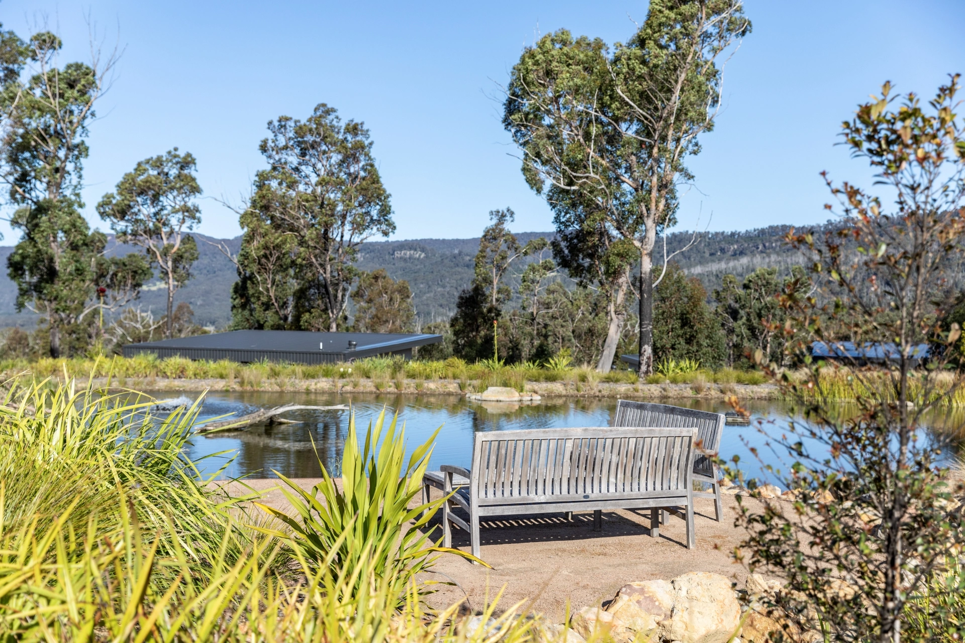 Kangaroo Valley Bush Retreat Renewal - Louise Wellington - 05 - Central Water Feature.jpg