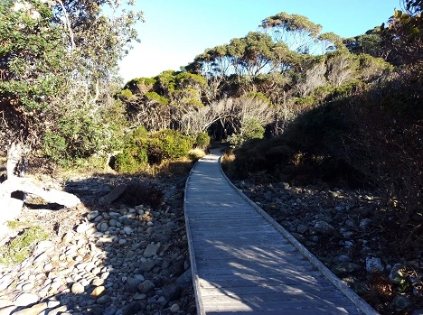 Aragunnu Boardwalk.jpg