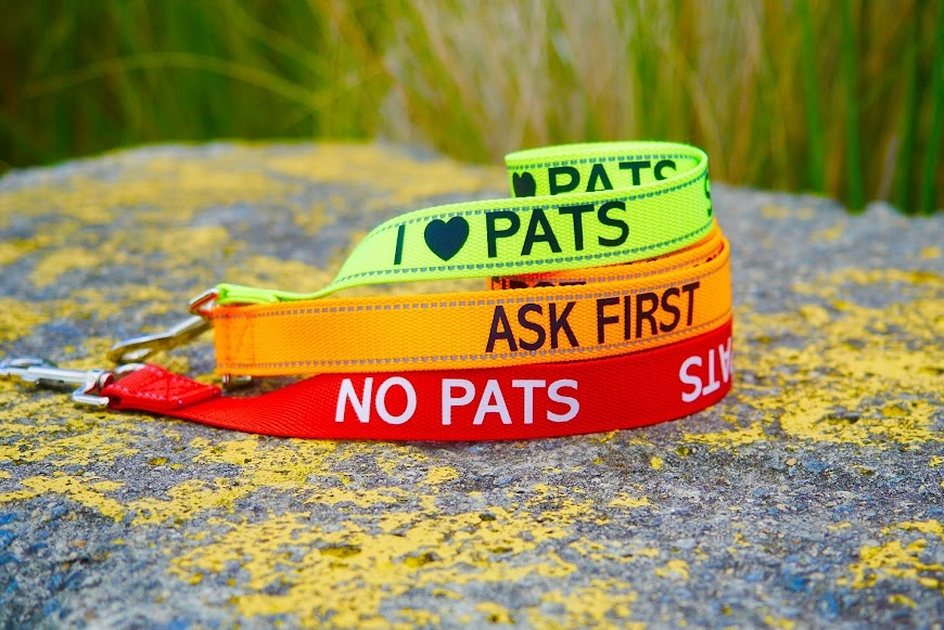 dogs and people 141.jpg