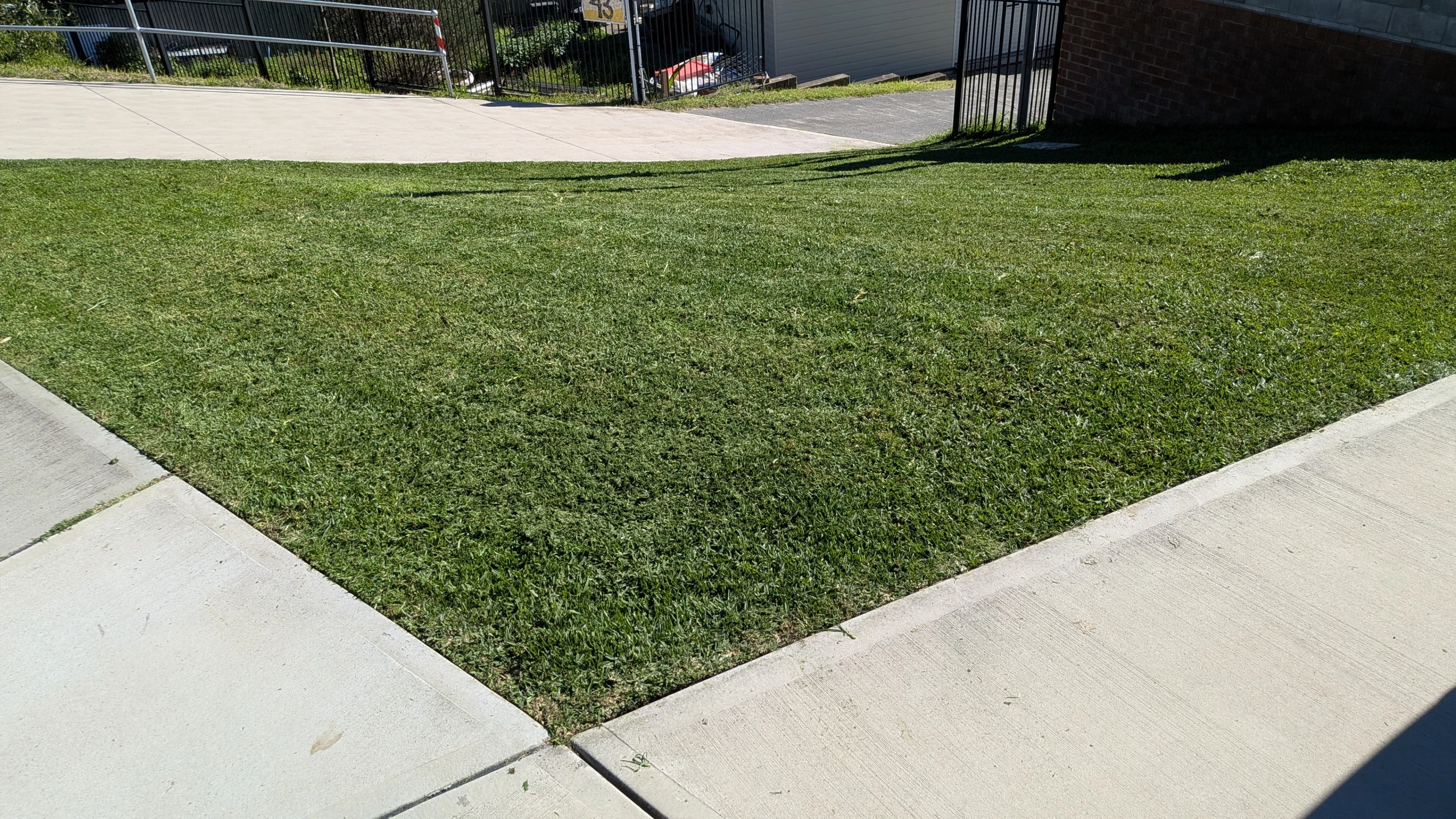 PXL_20260714_020047379.jpg