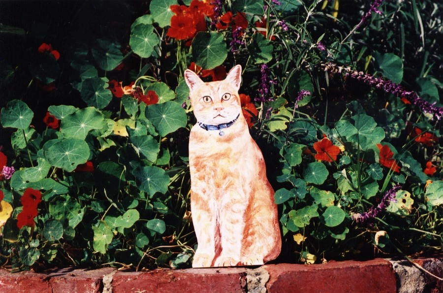 Cat - Ginger - $40.00.jpeg