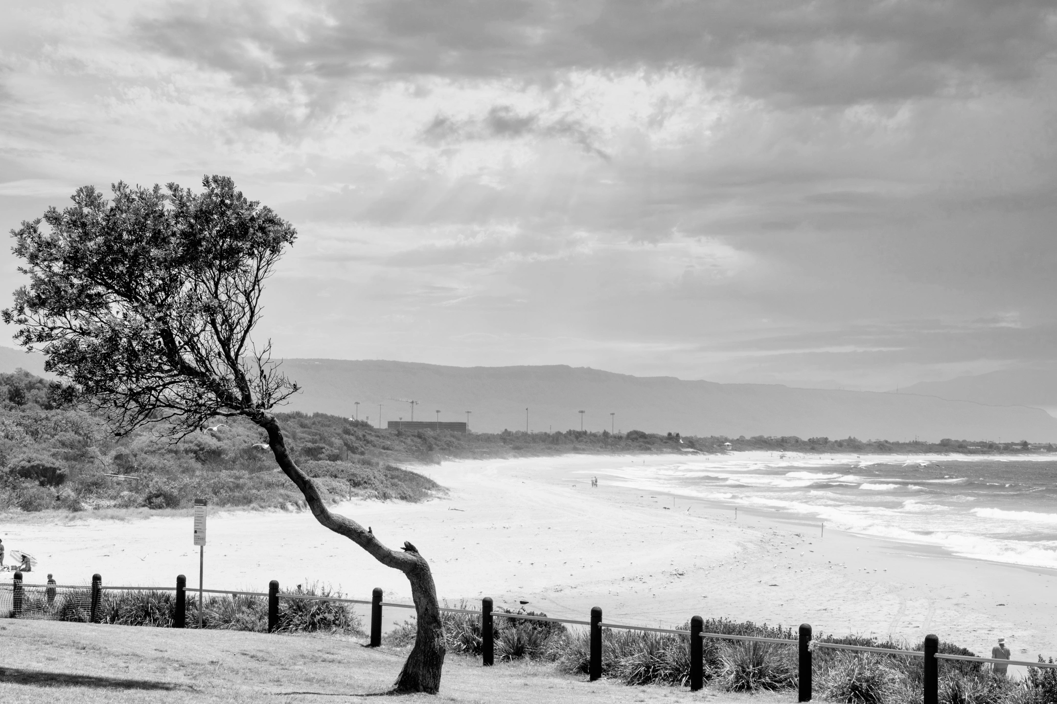 DSC_1309-Edit.jpg