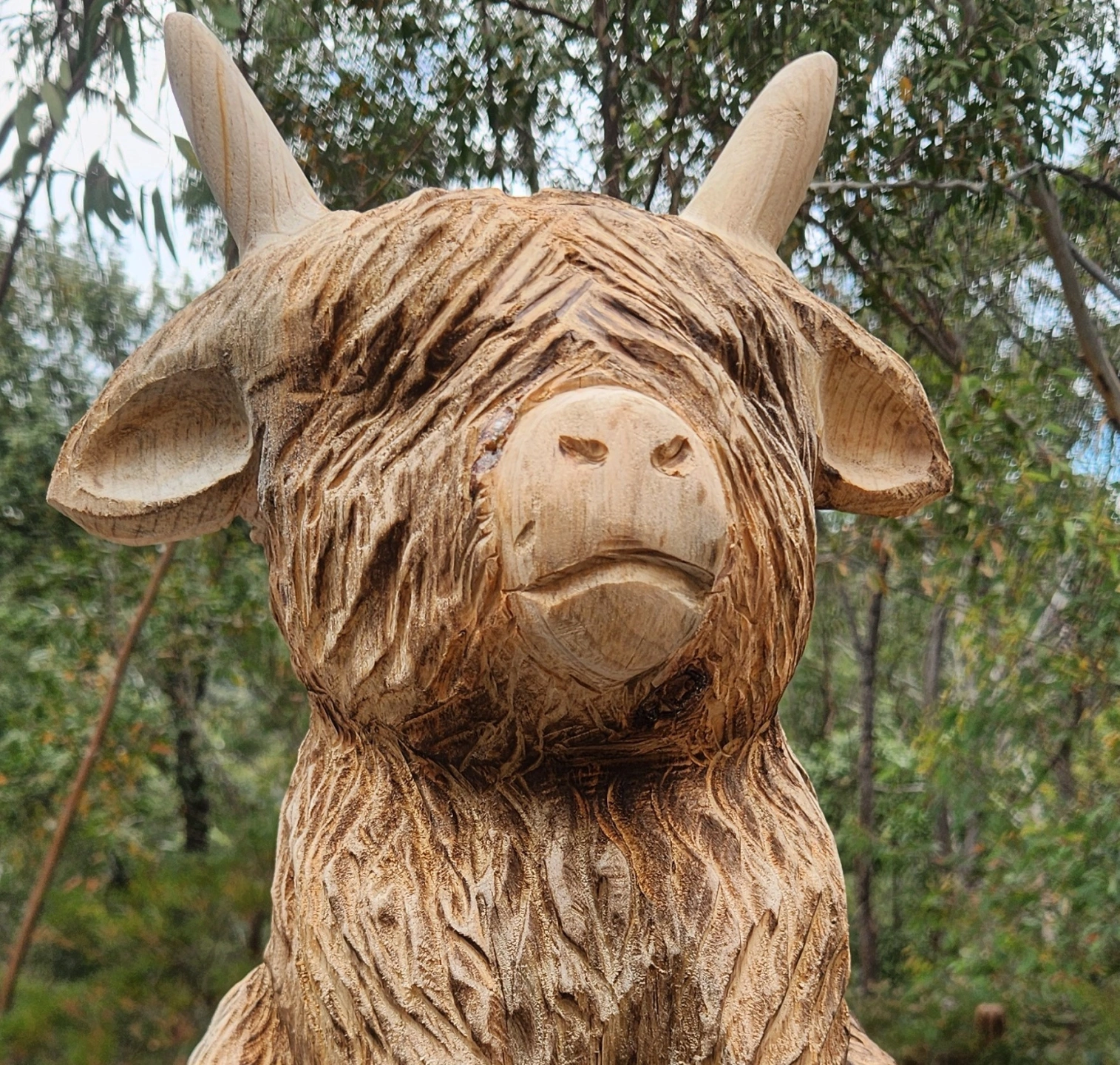 Wood carved highland cow head.jpg