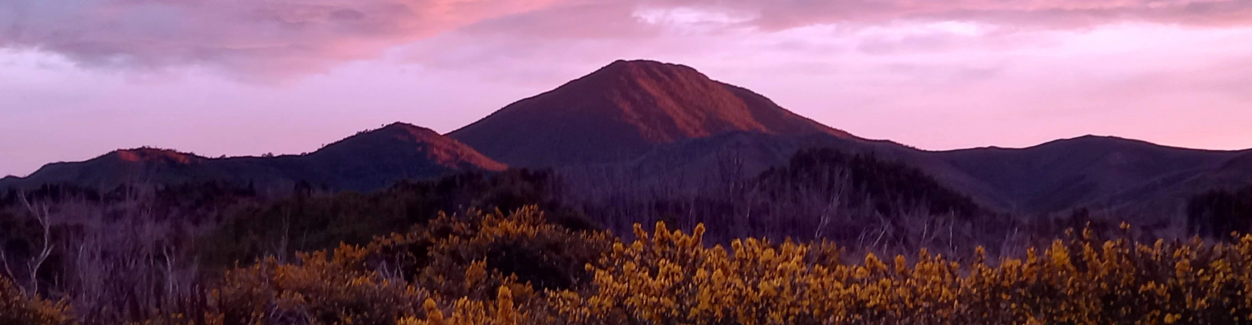 20211001_182034 - Copy.jpg