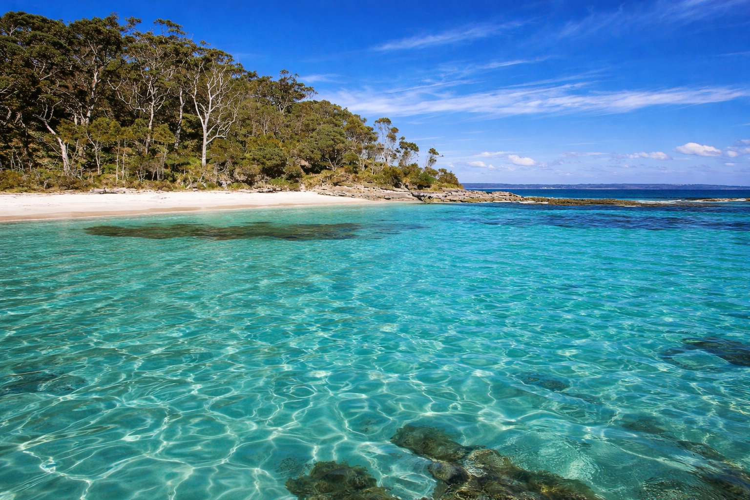 ChatGPT Image Feb 28, 2026, 05_59_29 PM.png