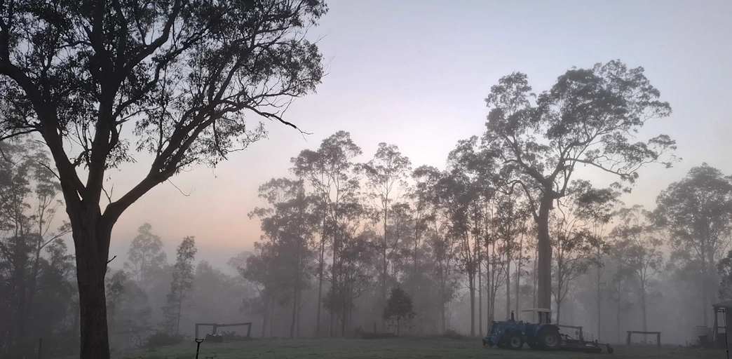 Screenshot from 2026-03-01 12-28-12.png