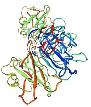 pea albumin.jpg