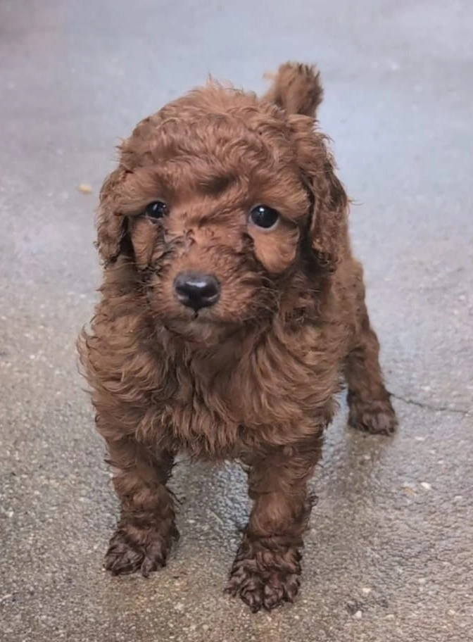 5 weeks - March 26 -7.jpeg