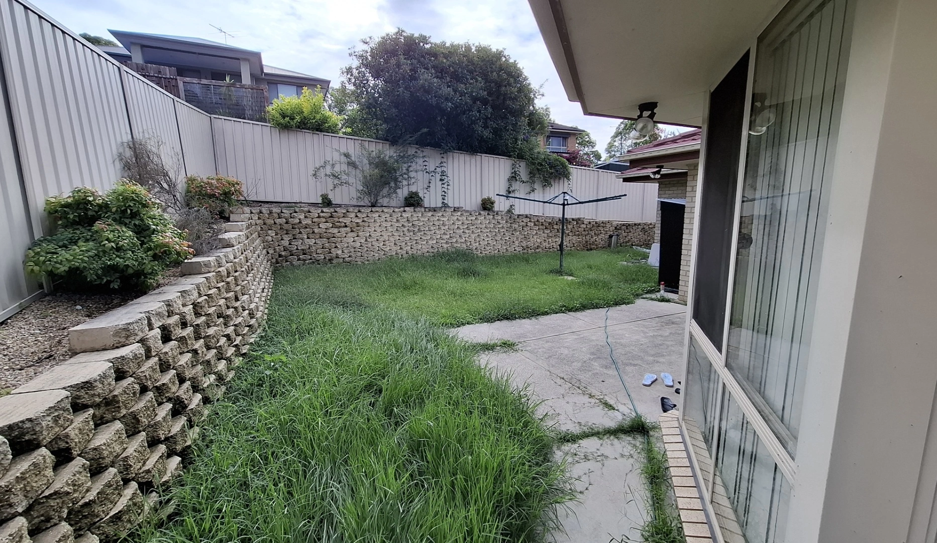 Client A Back Yard Before.jpg
