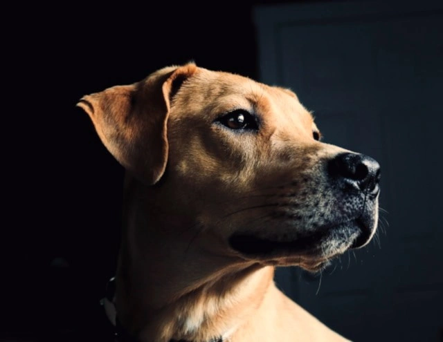 sydney-rae-F_PP5iW7bRo-unsplash -1.jpg