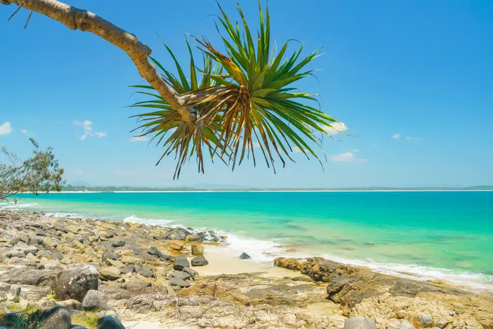 Sunshine-Coast-2.webp