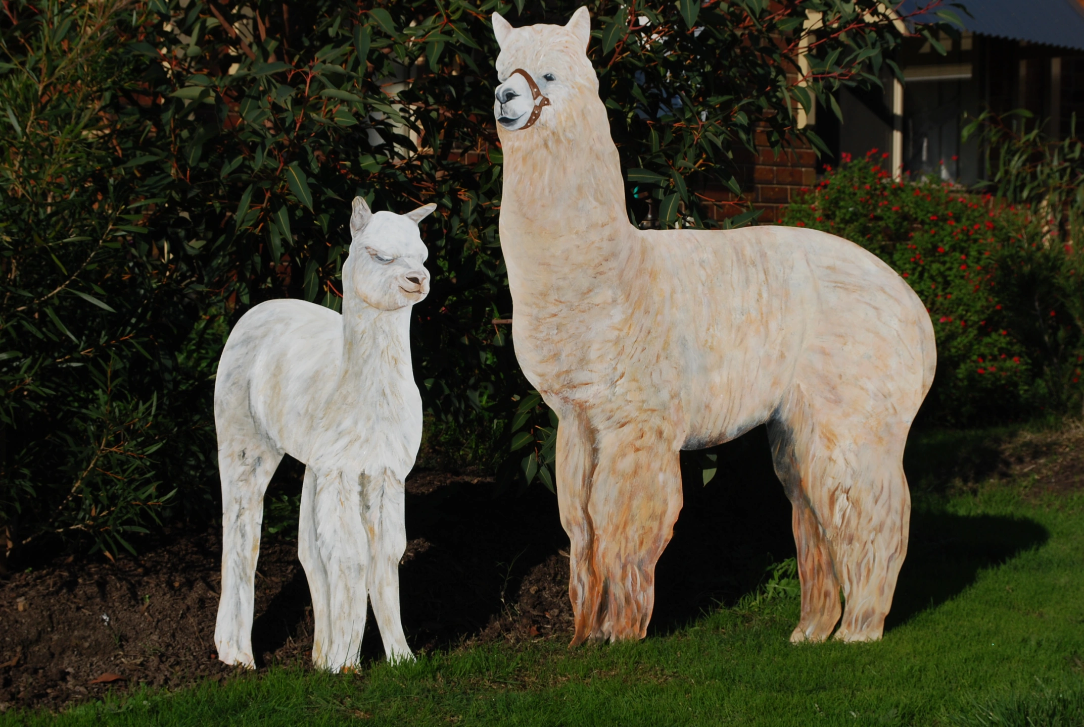 Female Alpaca with Cria.jpg