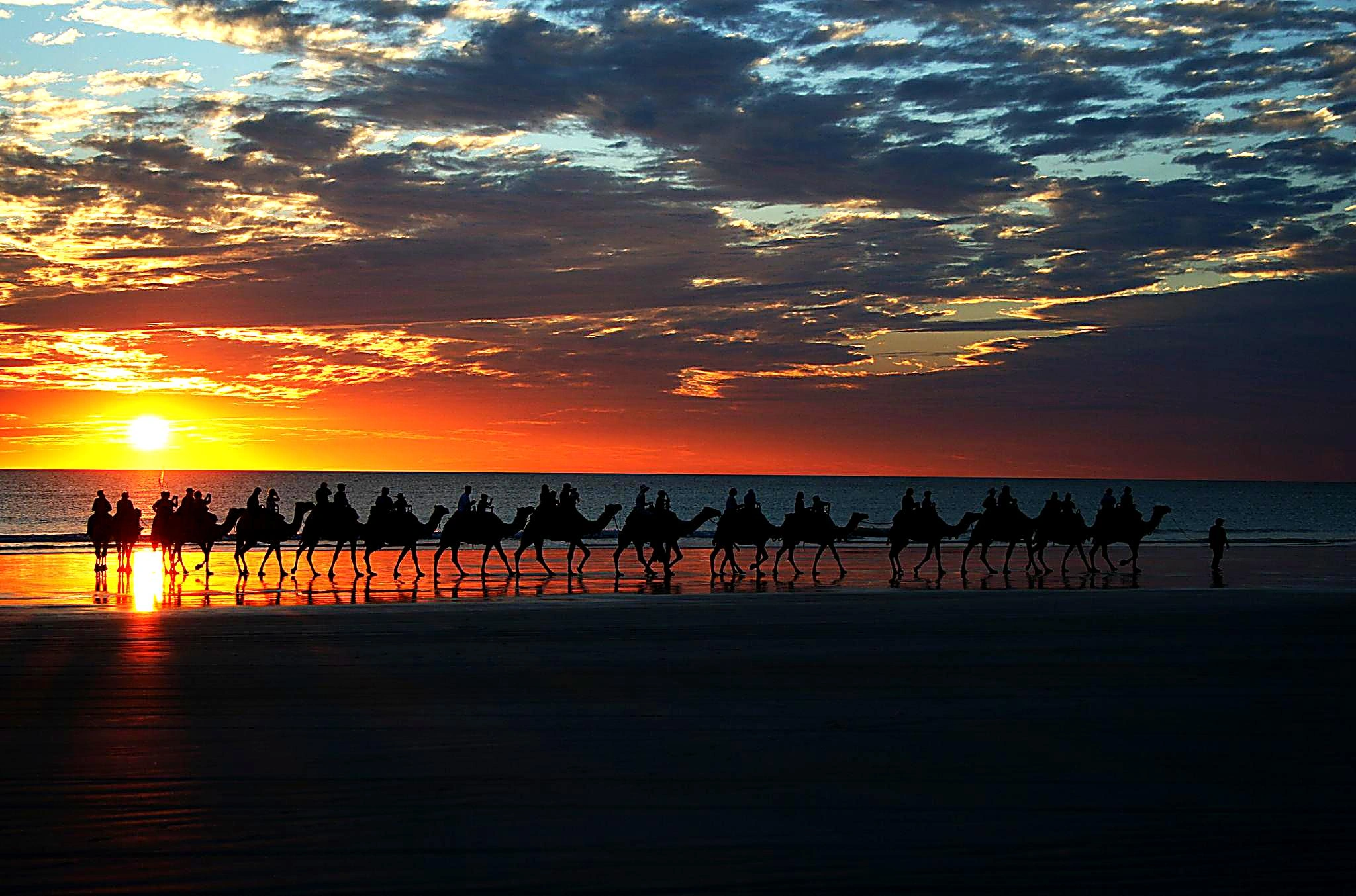 broome_camel_sunset_enhanced.jpg