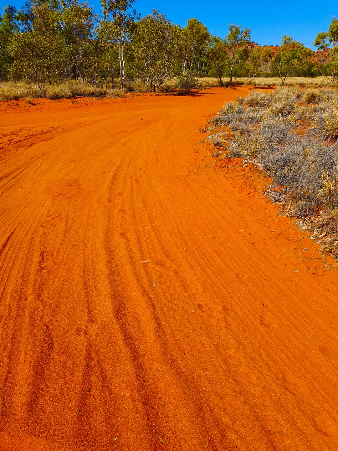 claypans_about us_ copy.jpg