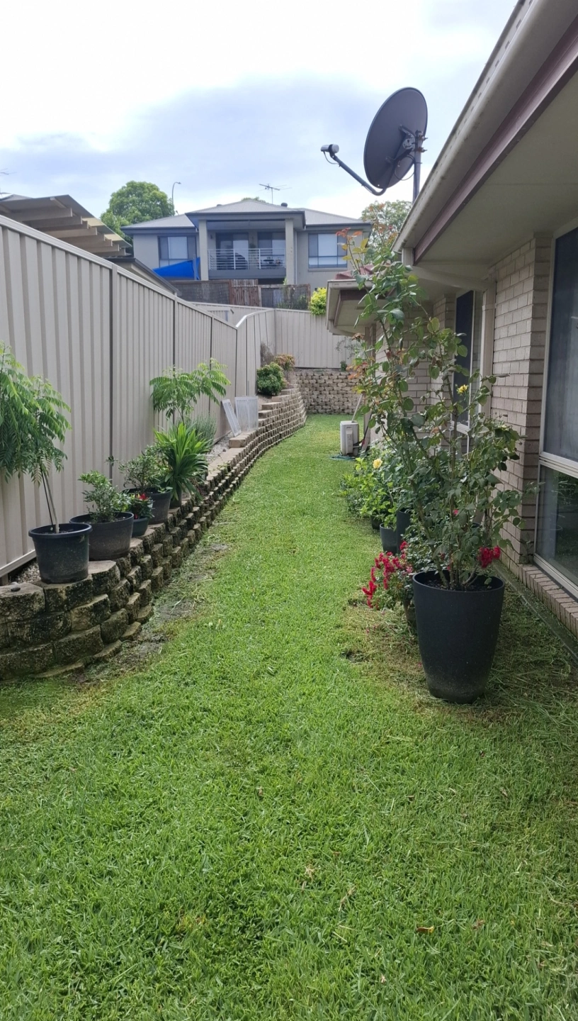 Client A Side Yard After.jpg