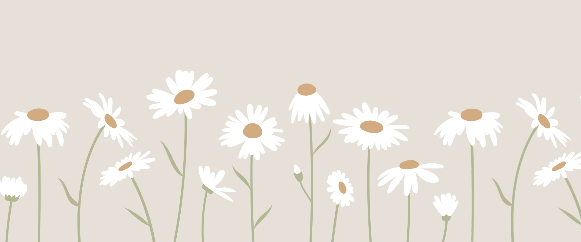 Bellwood Lane Blooms Footer Banner.png