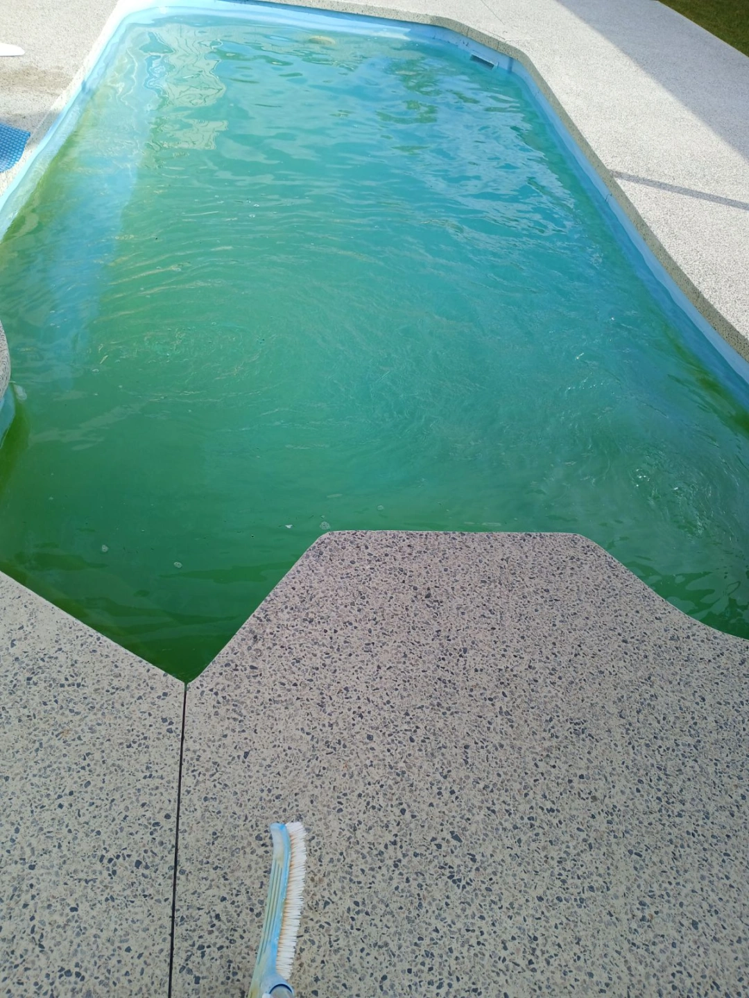 image000000.jpeg