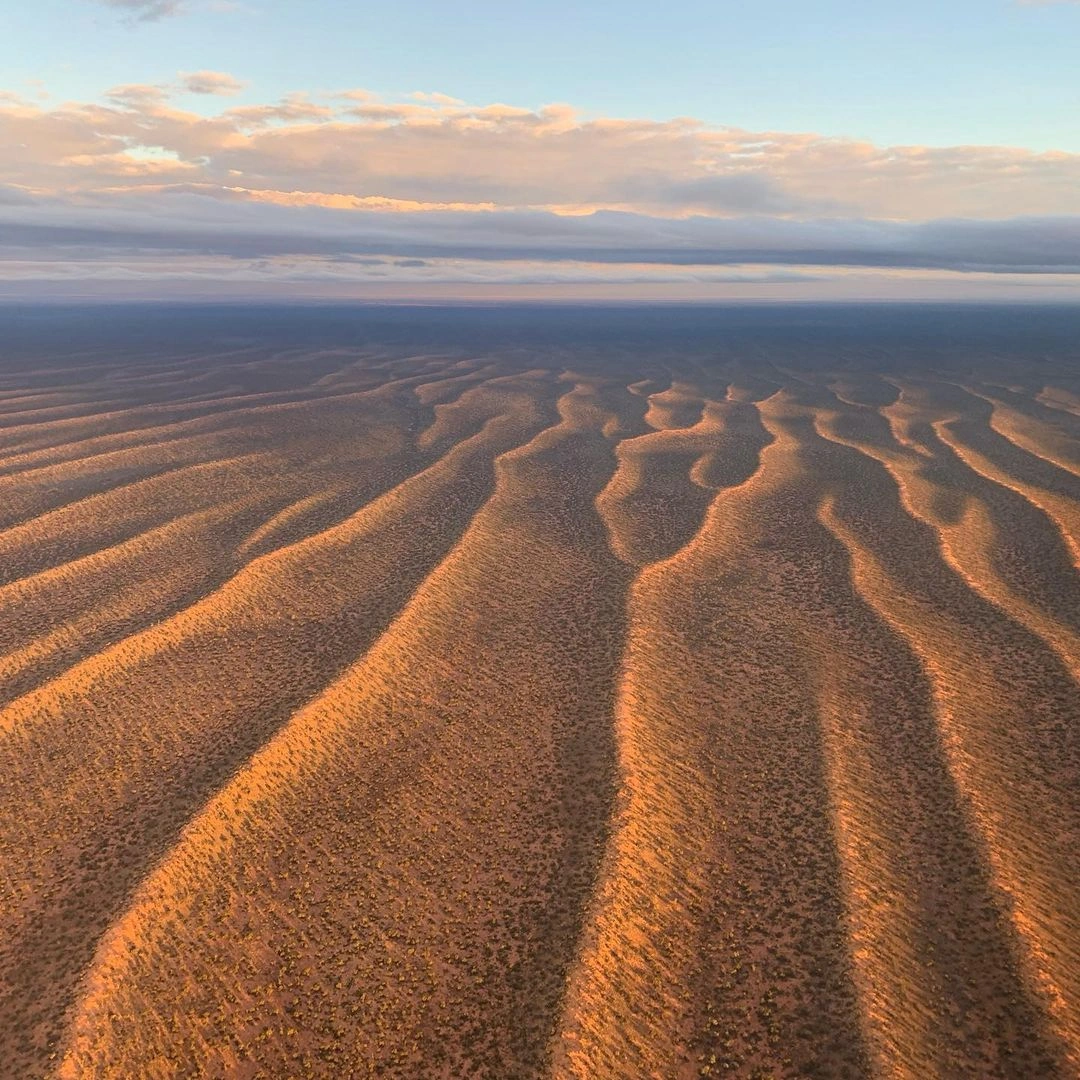 Yellabinna-Regional-Reserve-Maralinga-Mysteries-scenic-flight-from-Ceduna.jpg