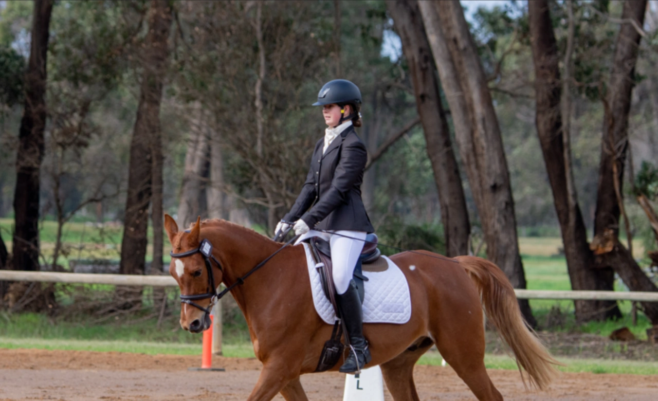 The balanced duo website header image (1280 x 780 px).png