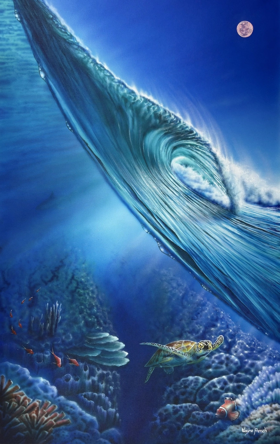 ReefLife.jpg